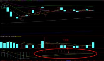 同花順圈子 尋找真正的炒股高手